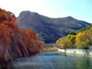 天天彩好彩天天免费，大叶女贞产地